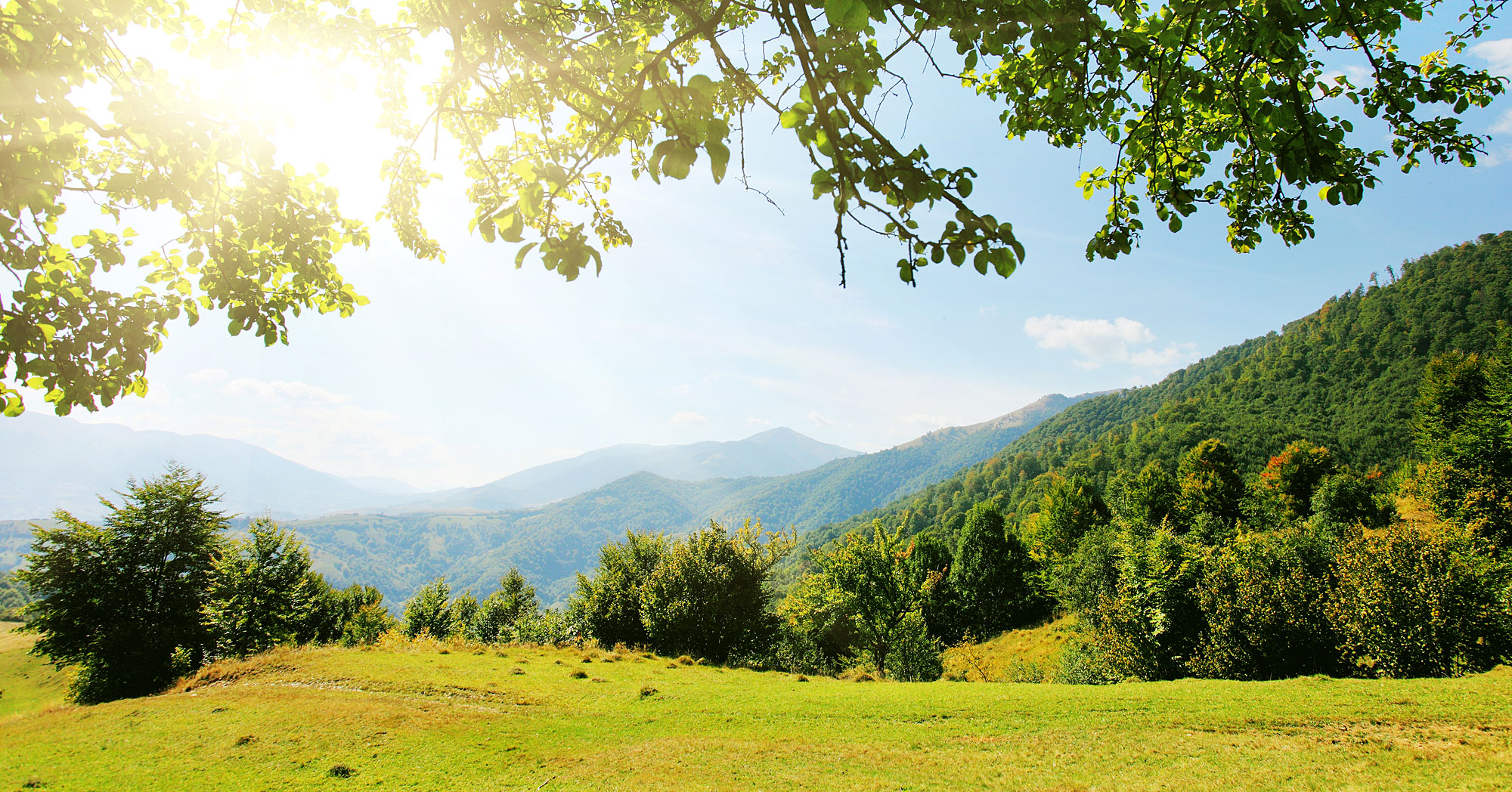 Naturlandschaft im Bayerischen Wald